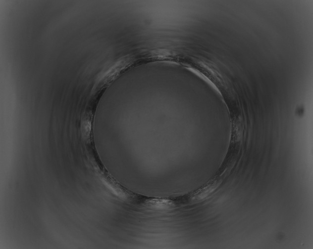 X0000091190427200708301241