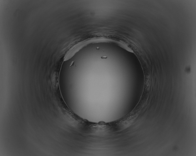 X0000091190428200708301241