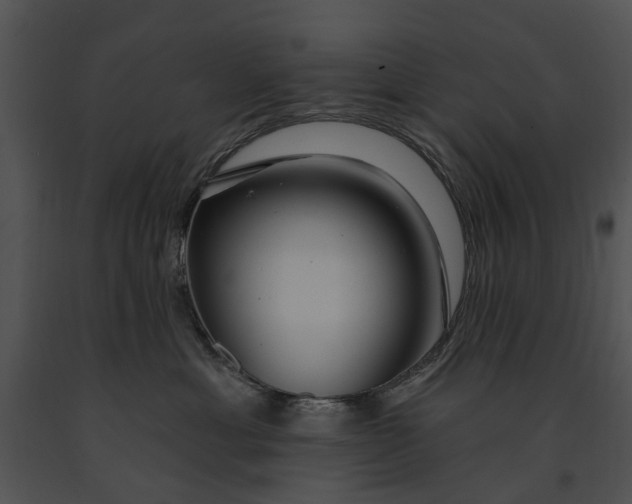 X0000091190429200708301241