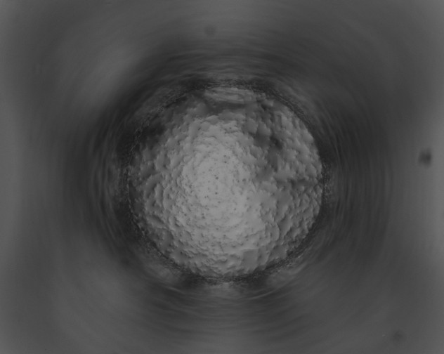 X0000091190430200708301241