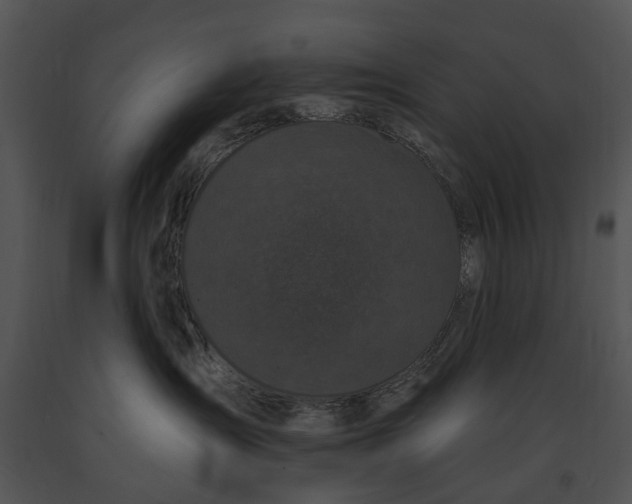 X0000091190431200708301241