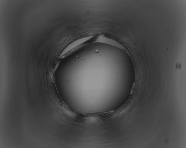 X0000091190432200708301241