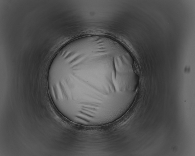 X0000091190433200708301240