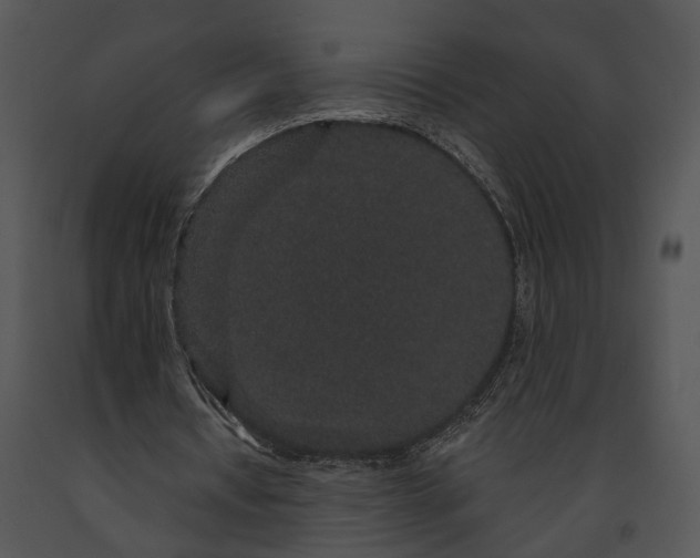 X0000091190434200708301240