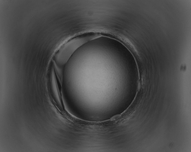 X0000091190436200708301240