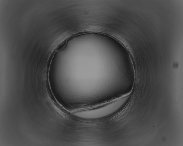 X0000091190437200708301240