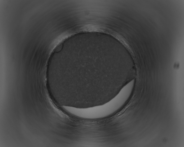 X0000091190438200708301240