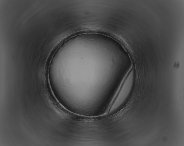 X0000091190439200708301240