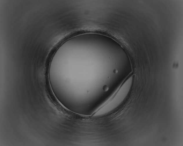 X0000091190440200708301240