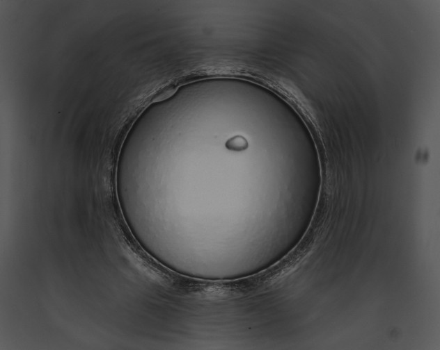 X0000091190441200708301240