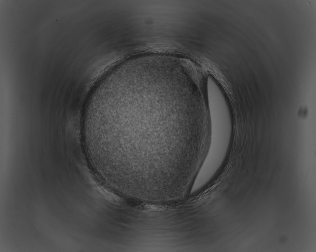 X0000091190442200708301240