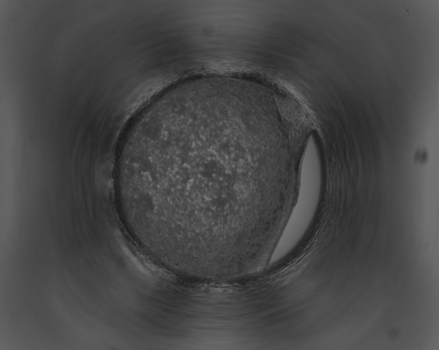 X0000091190443200708301240