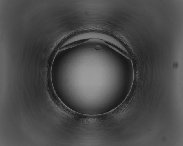 X0000091190444200708301240