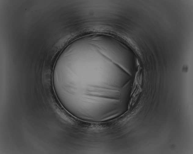 X0000091190445200708301240