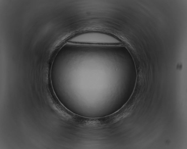 X0000091190446200708301240