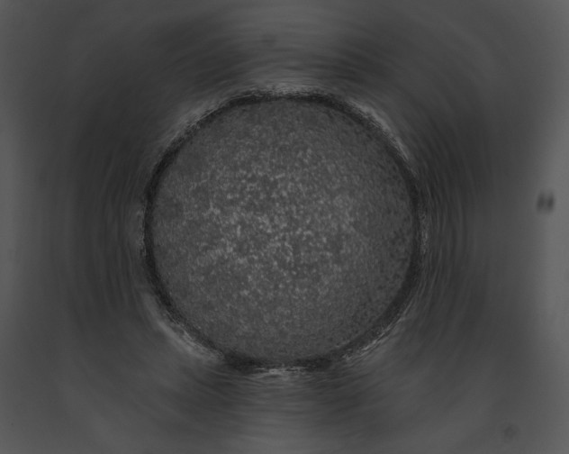 X0000091190447200708301240