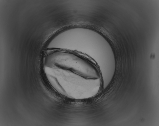 X0000091190448200708301240