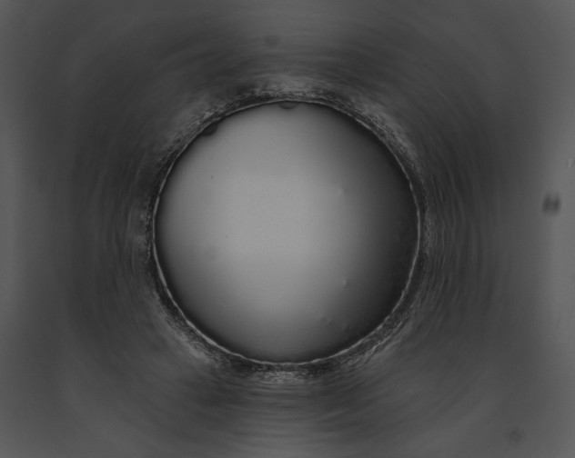 X0000091190449200708301240