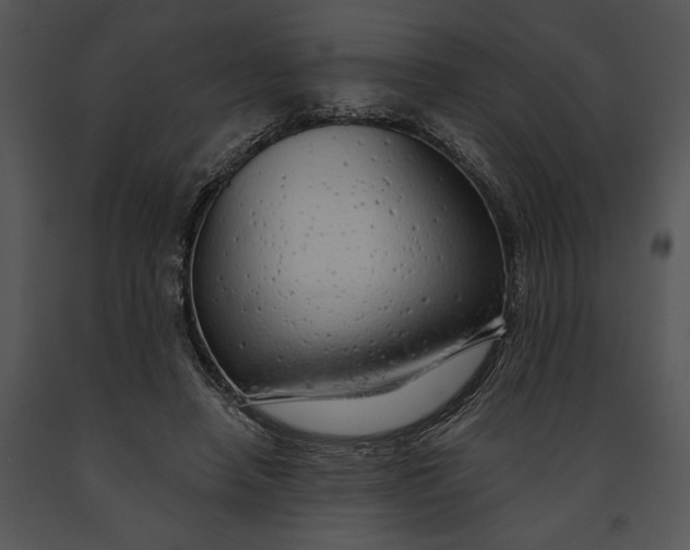 X0000091190450200708301240