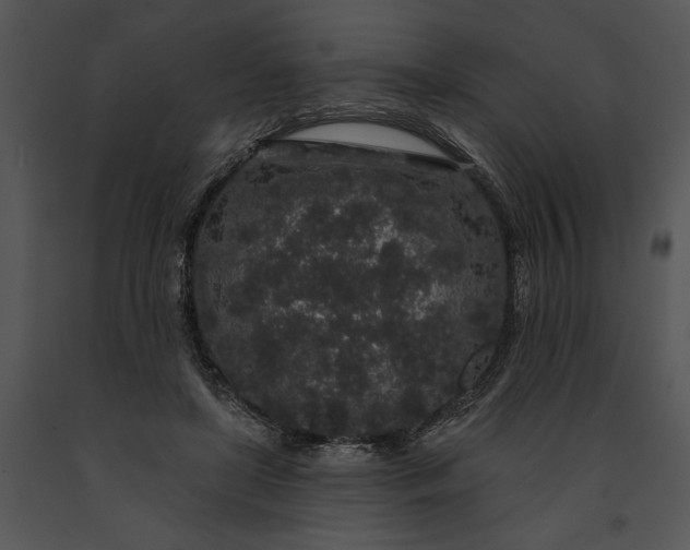 X0000091190451200708301240