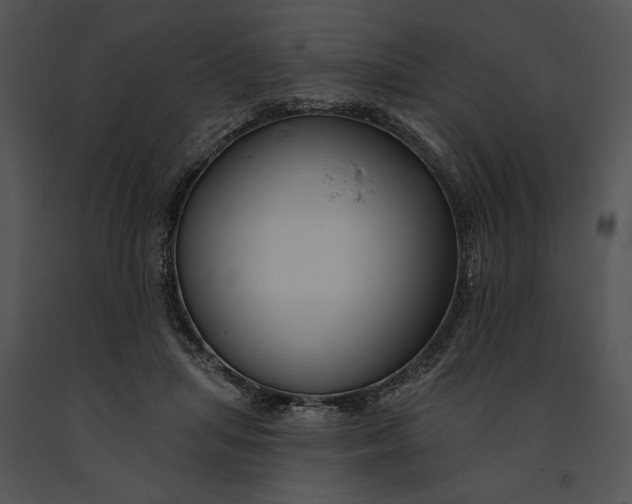 X0000091190455200708301241