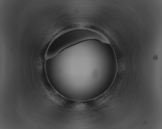 X0000091190456200708301241