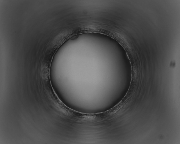 X0000091190457200708301241