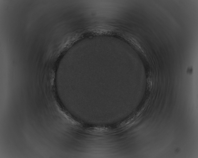 X0000091190458200708301241