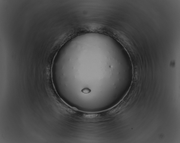 X0000091190461200708301241