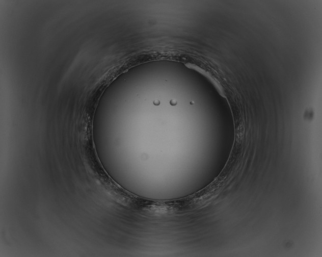 X0000091190464200708301241