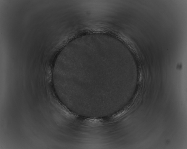 X0000091190465200708301241