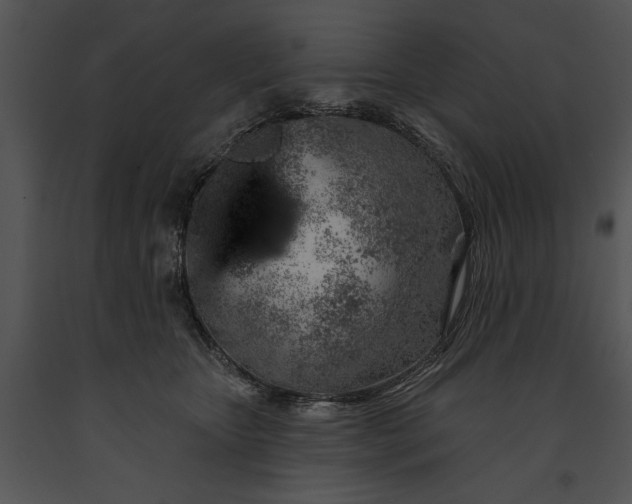 X0000091190467200708301241