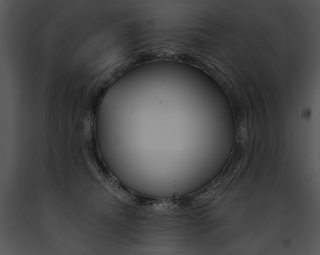 X0000091190468200708301241