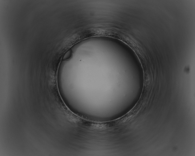 X0000091190469200708301241