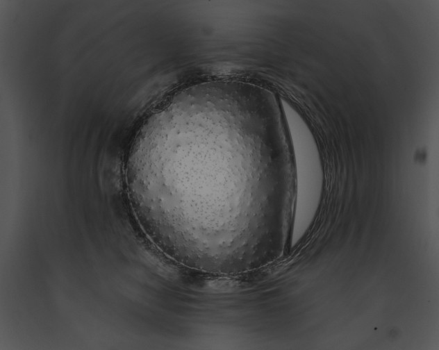 X0000091190470200708301241