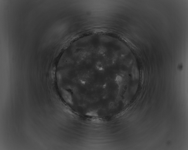 X0000091190475200708301241