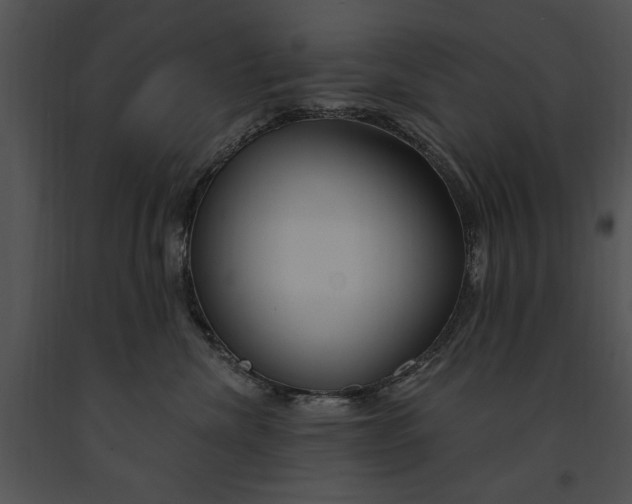 X0000091190476200708301241