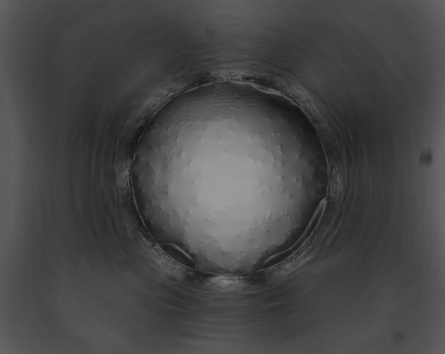 X0000091190477200708301241