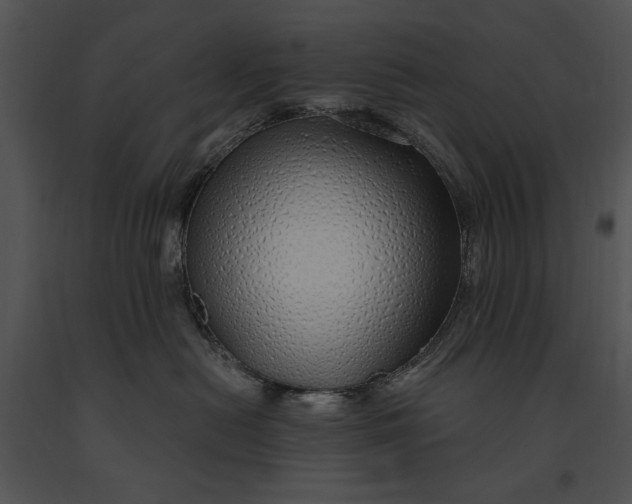 X0000091190478200708301241