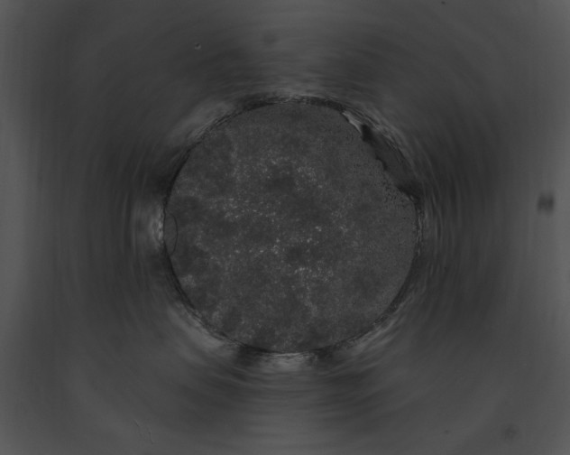 X0000091190479200708301241