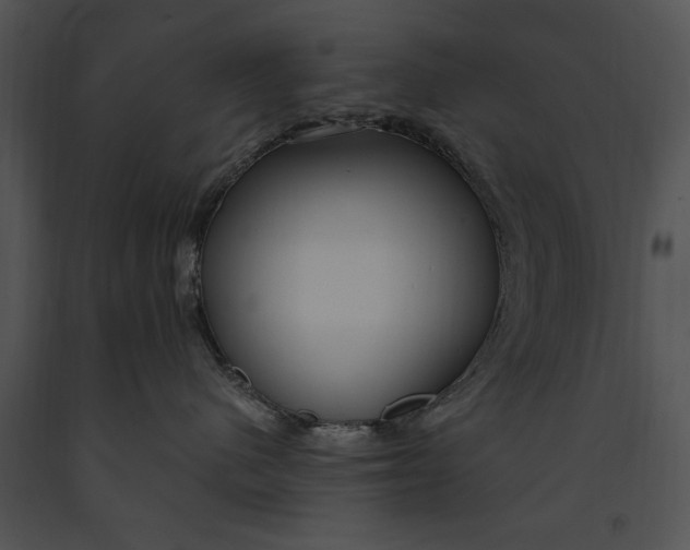 X0000091190480200708301241