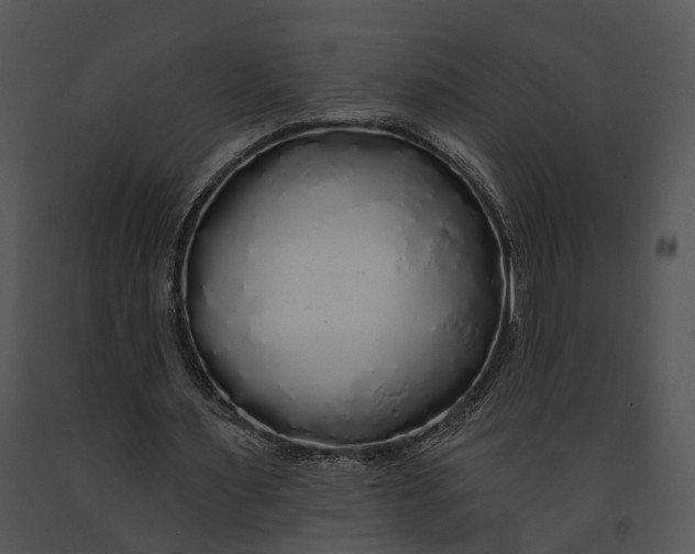 X0000091190483200708301240