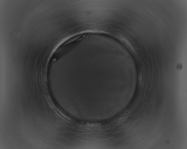 X0000091190484200708301240