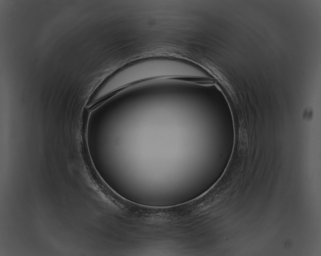 X0000091190485200708301240