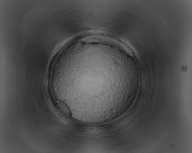 X0000091190486200708301240