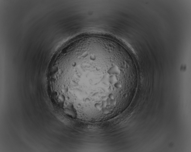 X0000091190487200708301240