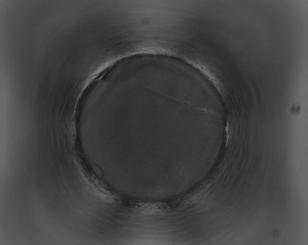 X0000091190488200708301240