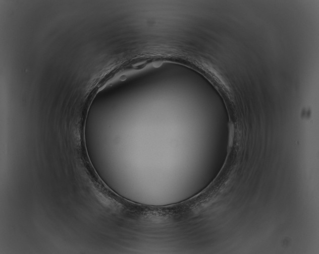 X0000091190489200708301240