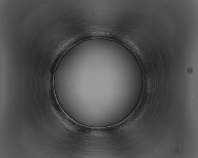 X0000091190490200708301240