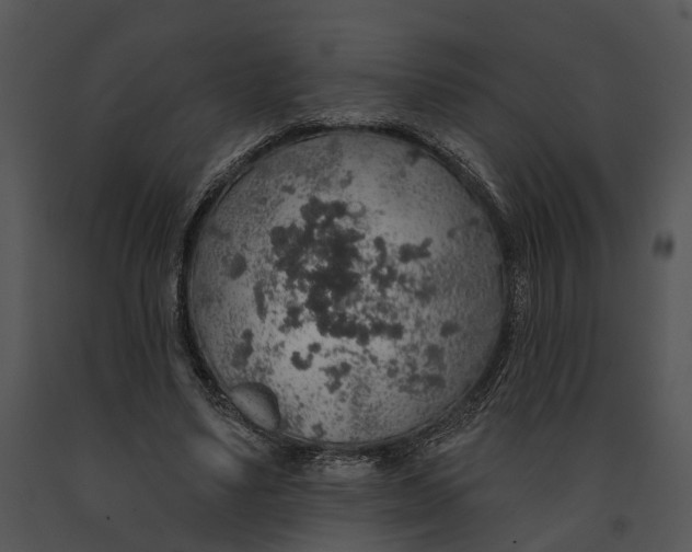 X0000091190491200708301240